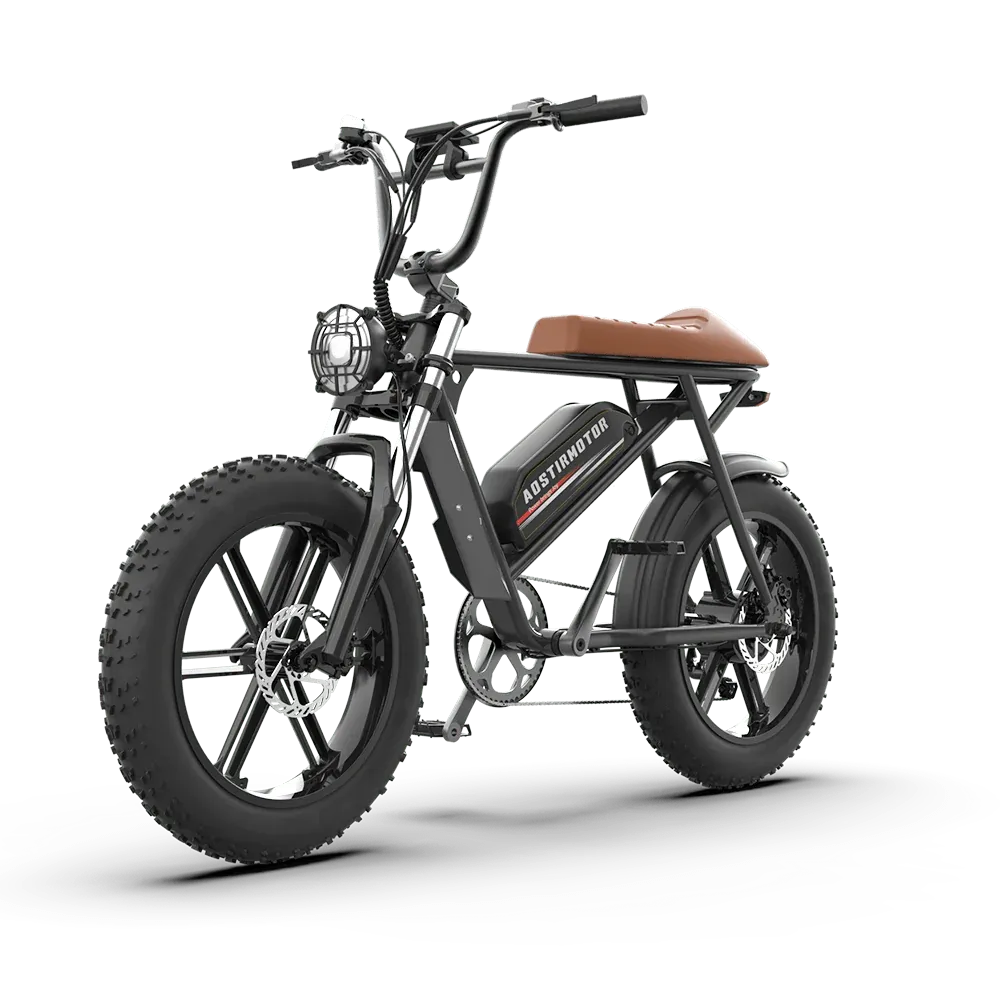 Aostirmotor Storm 750W 48V Fat Tire Electric Bike