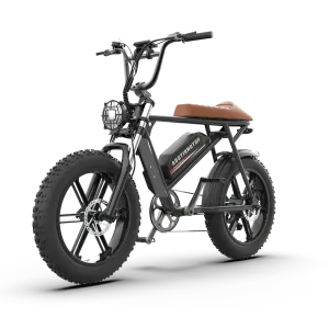 Aostirmotor Storm 750W 48V Fat Tire Electric Bike