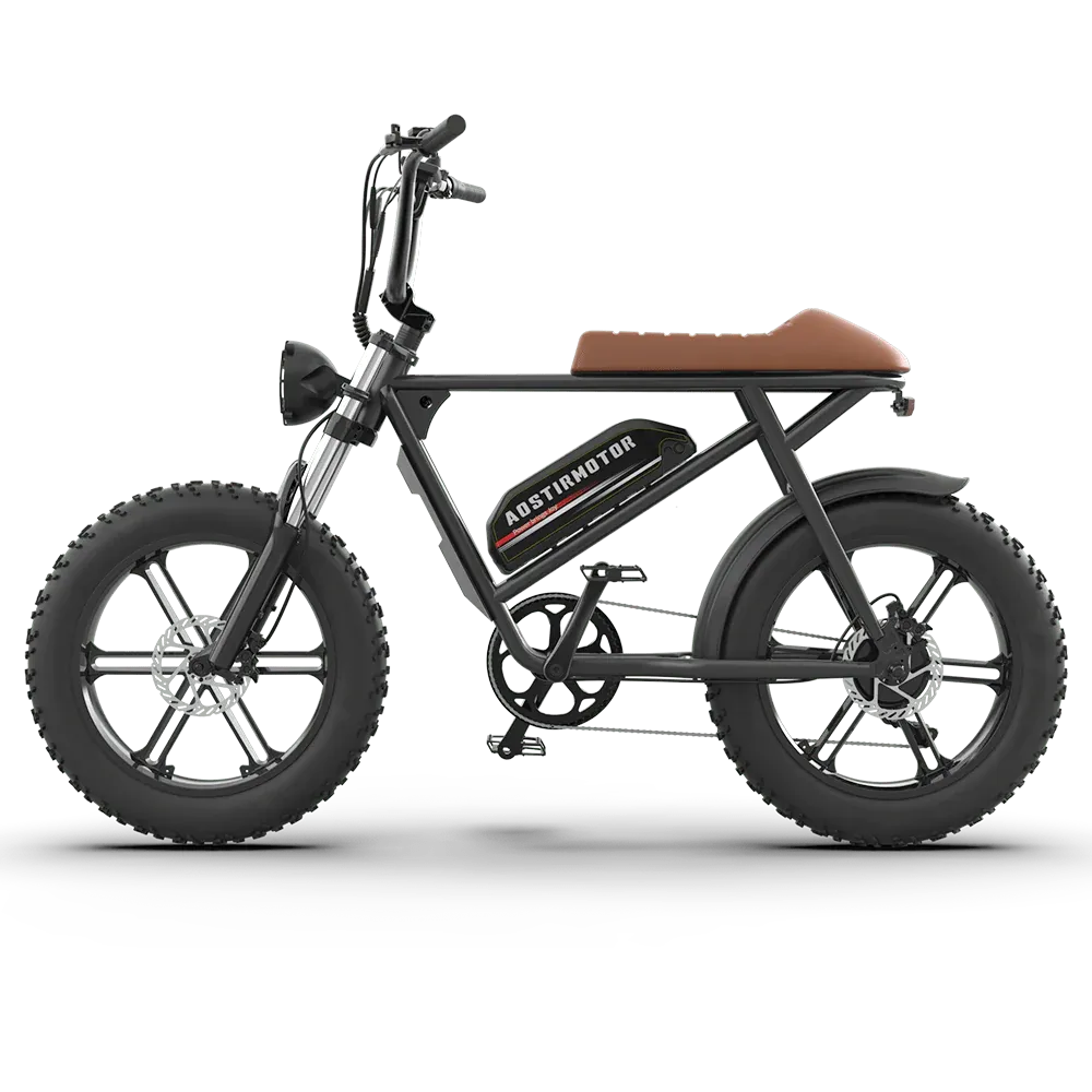 Aostirmotor Storm 750W 48V Fat Tire Electric Bike