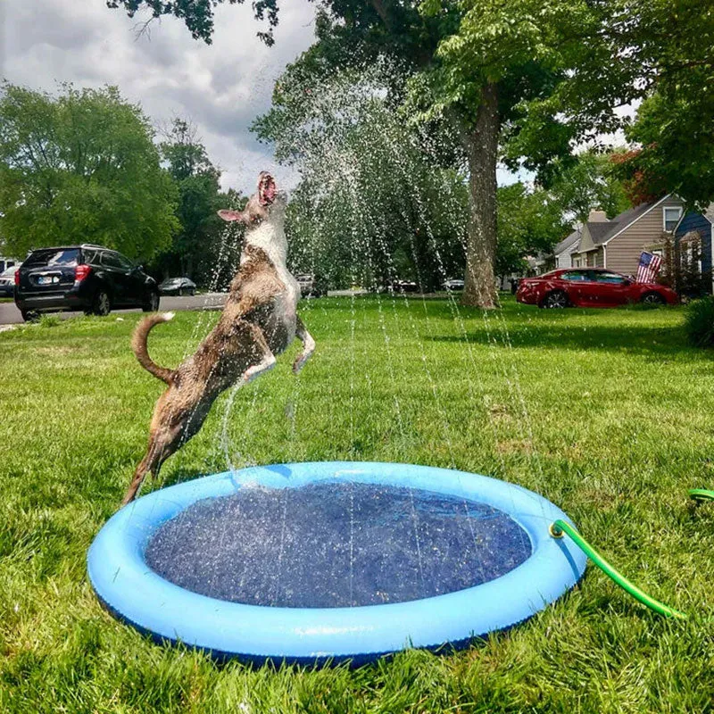 Dog Splash Sprinkler Pad