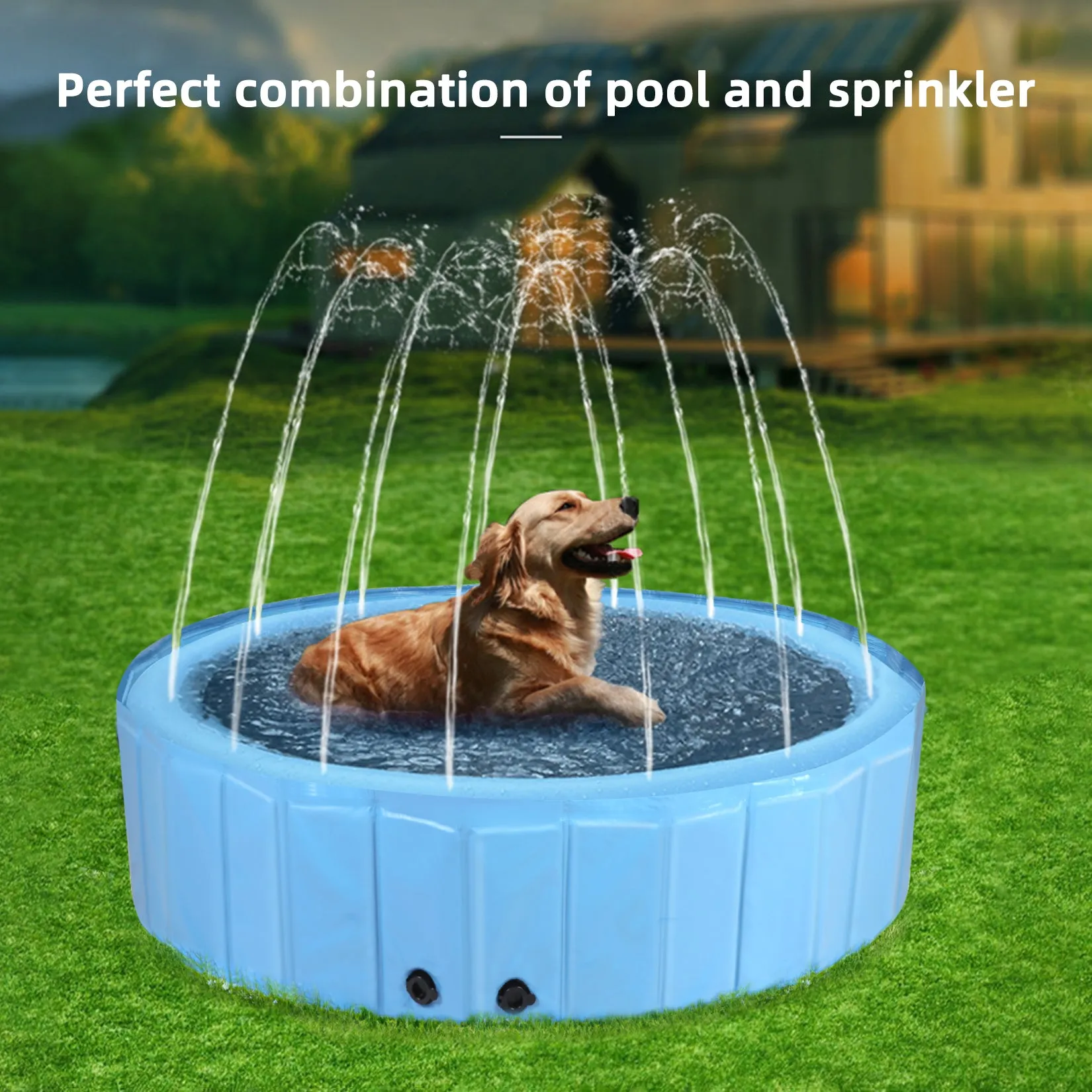 Dog Swimming Pool: Heavy Collapsible Dog Pet Swimming Pool with Spray Sprinkler Pet Bathing Tub for Outside Backyards, Kids Pets Dogs Cats