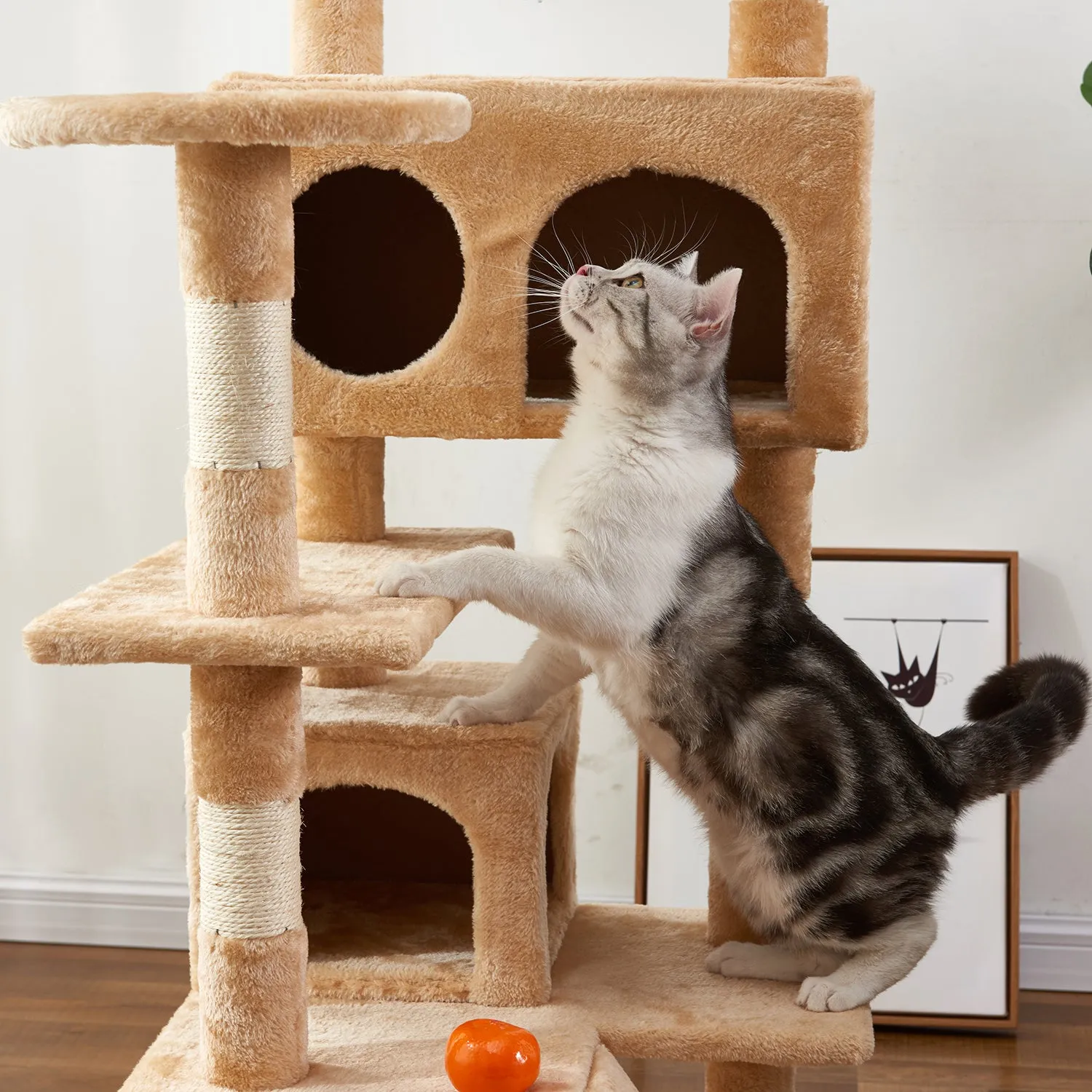 Multi-Layer Cat Tree