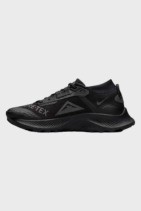 NIKE TRAIL - Nike Pegasus Trail 3 GORE-TEX