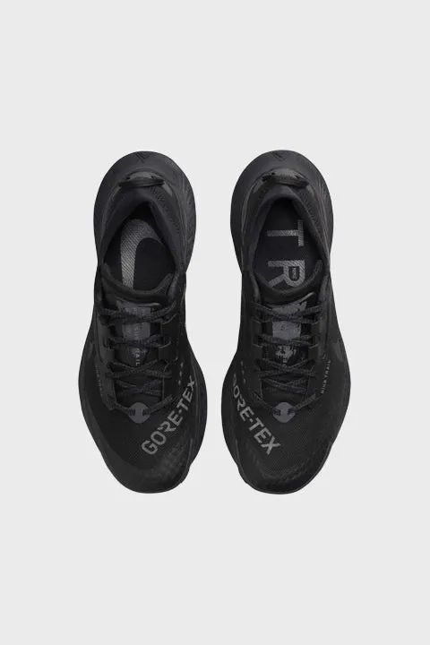 NIKE TRAIL - Nike Pegasus Trail 3 GORE-TEX