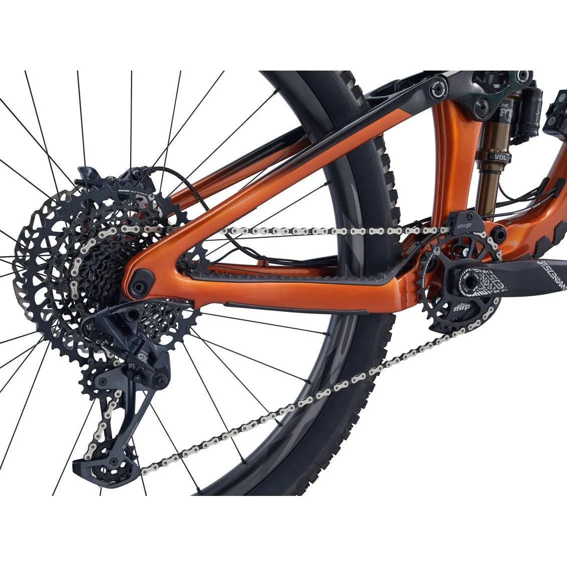 Reign Advanced Pro 29 1 Carbon Mountain Bike (2023)