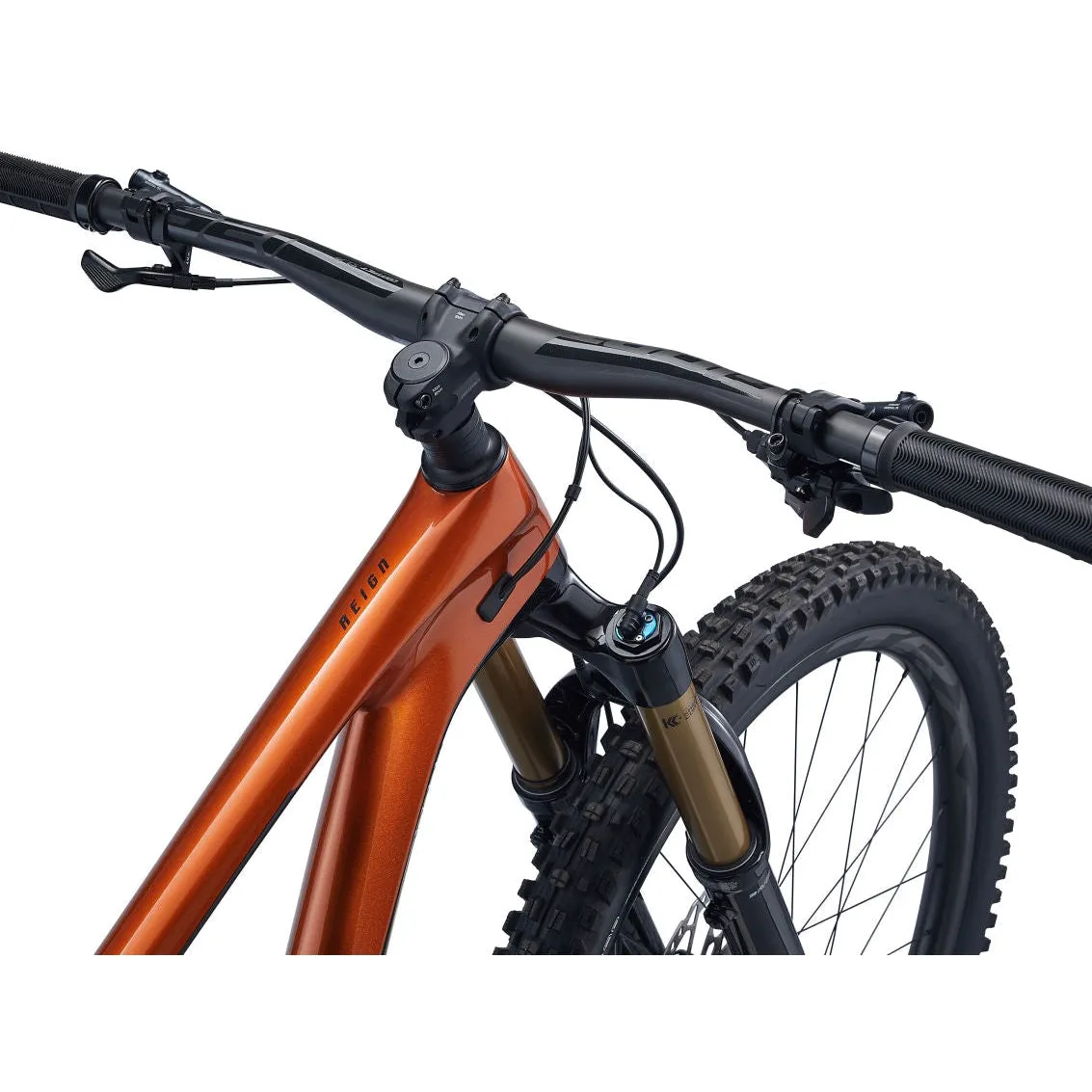 Reign Advanced Pro 29 1 Carbon Mountain Bike (2023)